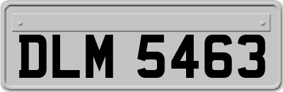 DLM5463