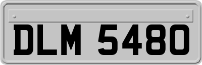 DLM5480