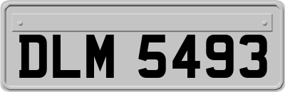 DLM5493