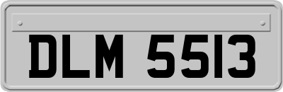 DLM5513