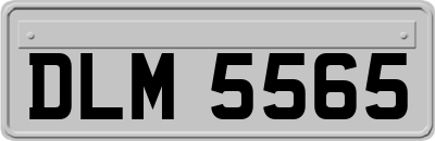 DLM5565