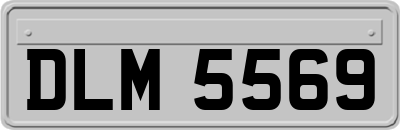 DLM5569