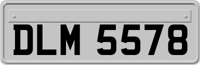 DLM5578