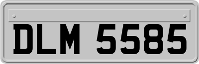 DLM5585