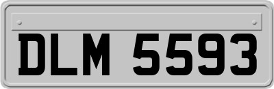 DLM5593