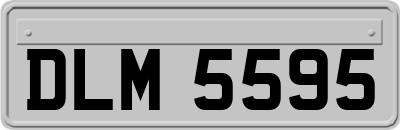 DLM5595