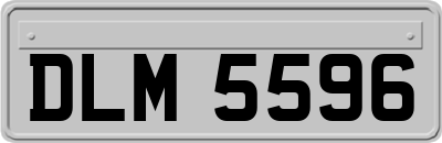 DLM5596