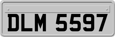 DLM5597