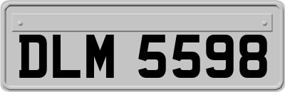 DLM5598