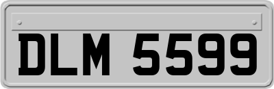 DLM5599