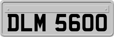 DLM5600
