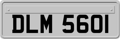 DLM5601