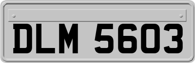 DLM5603