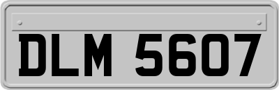 DLM5607