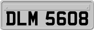 DLM5608