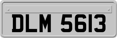 DLM5613
