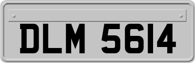 DLM5614