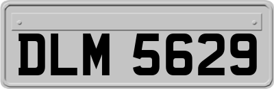DLM5629