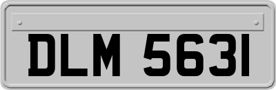 DLM5631
