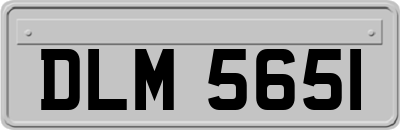 DLM5651