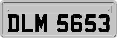 DLM5653