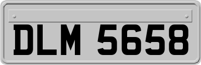 DLM5658