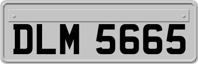 DLM5665