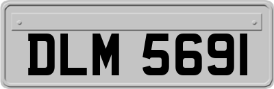 DLM5691
