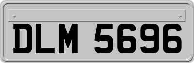 DLM5696