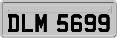 DLM5699