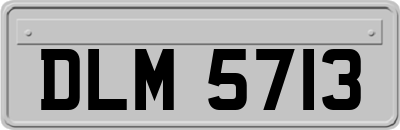 DLM5713