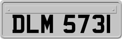 DLM5731