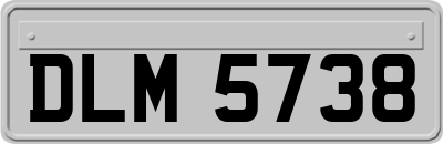 DLM5738