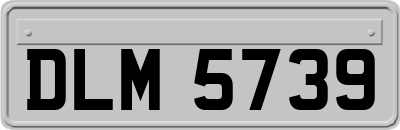 DLM5739