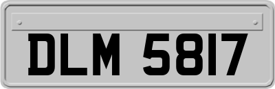 DLM5817