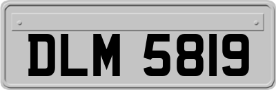 DLM5819