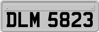 DLM5823