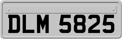 DLM5825