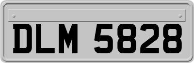 DLM5828