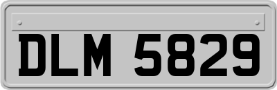 DLM5829