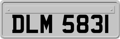 DLM5831