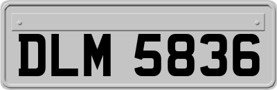 DLM5836
