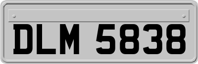 DLM5838