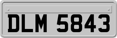 DLM5843