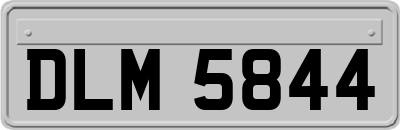 DLM5844