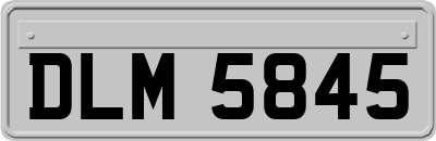DLM5845