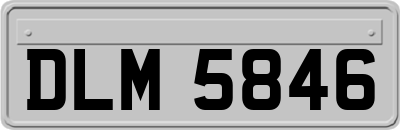 DLM5846
