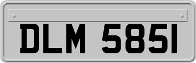 DLM5851