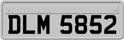 DLM5852