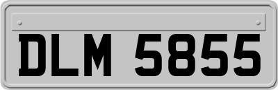 DLM5855